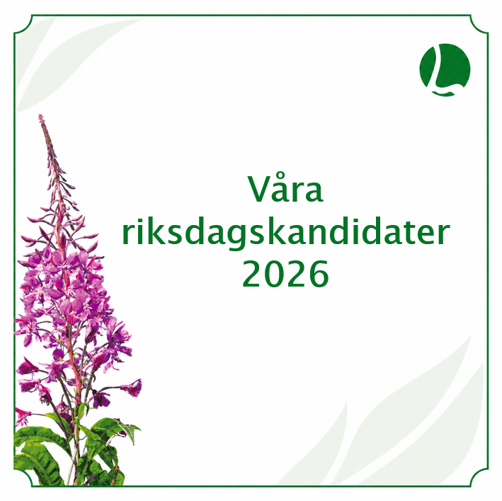 Våra riksdagskandidater 2026 grön