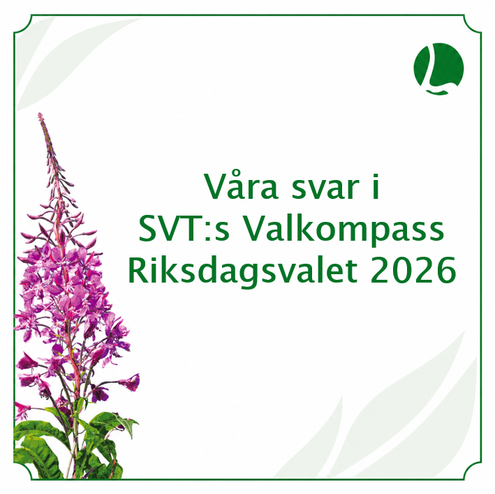 åra svar i svt valkompass 2026 grön