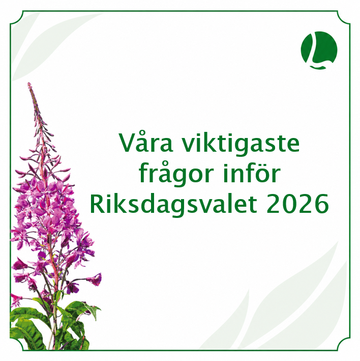 viktigaste frågor 2026 grön
